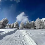 In *